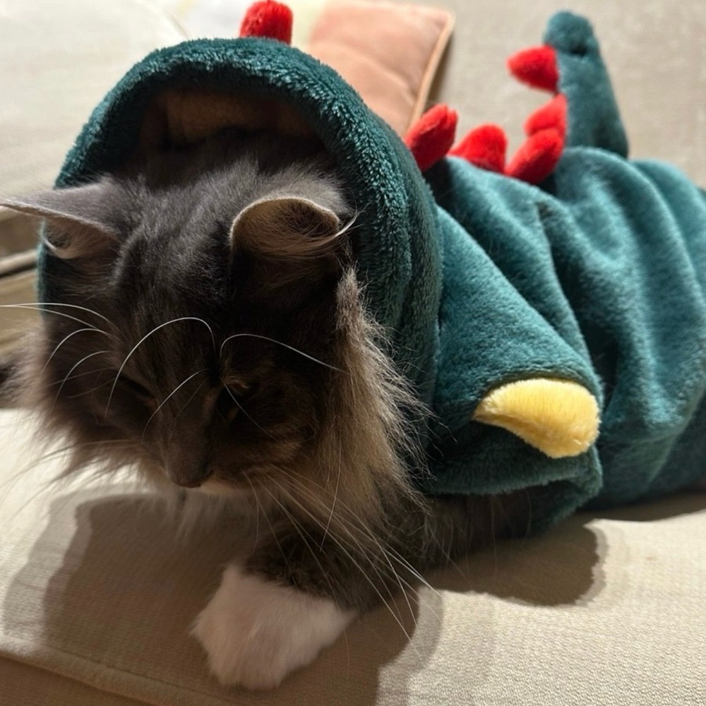 Cozy Dinosaur Cat Costume - Green and Red